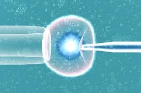 ivf center in gurgaon, fertility clinic in gurgaon